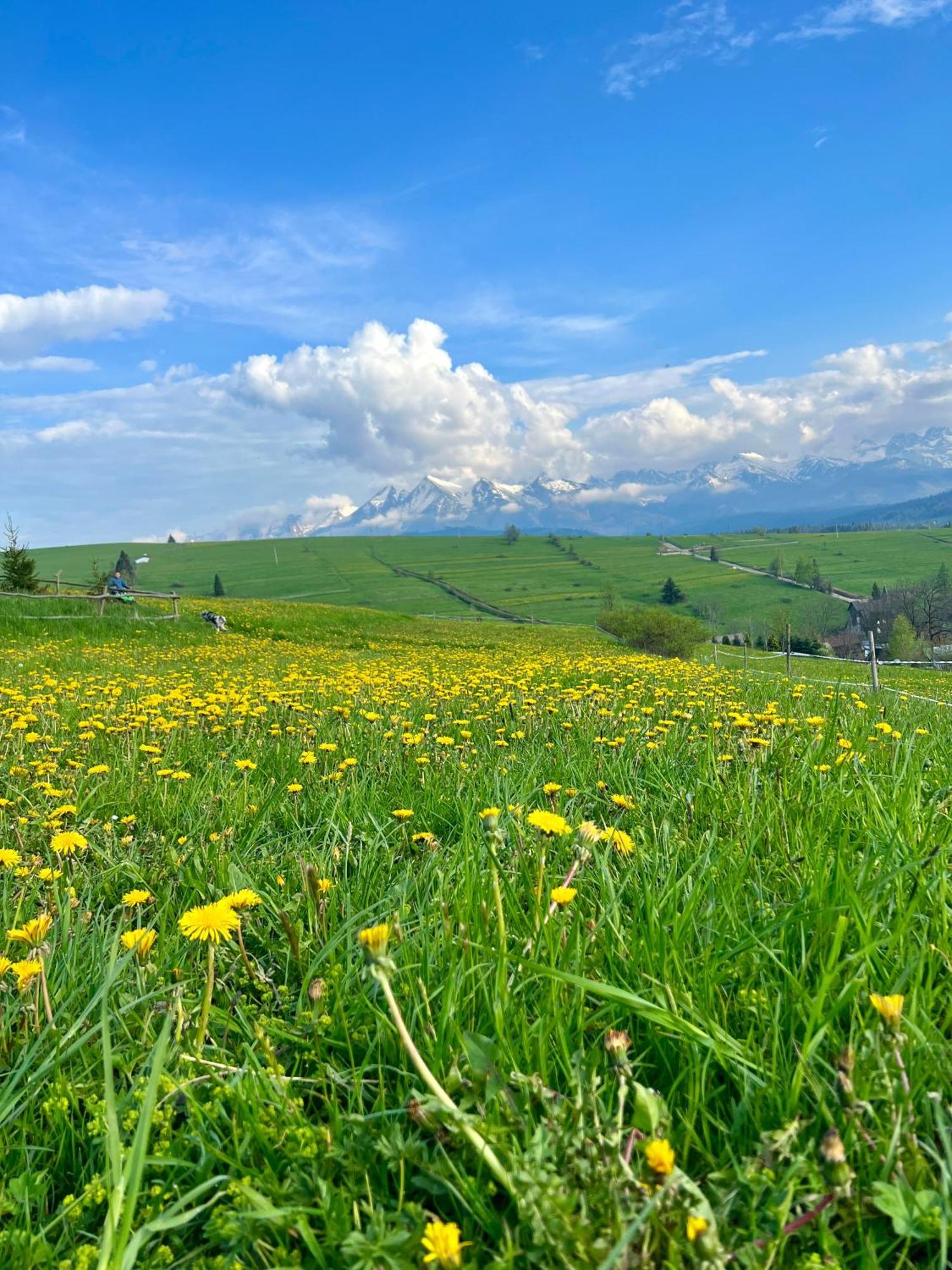 Agrodomek Rzepiska エクステリア 写真